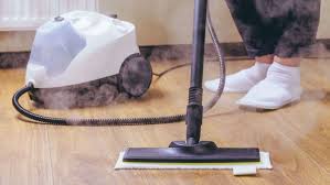 steam cleaner ing guide