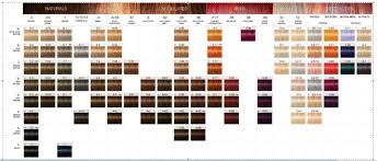 16 Exhaustive Igora Viviance Color Chart