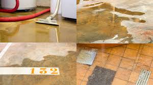 Remove Water From Concrete Slab Floors