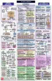 Contract Law Flowchart Contract Law Law Law School