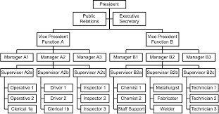 Nike Hierarchy Chart Organization Structure