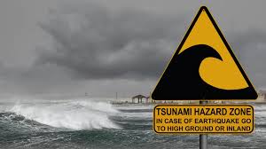 Tsunami resilience: UNESCO will train ...