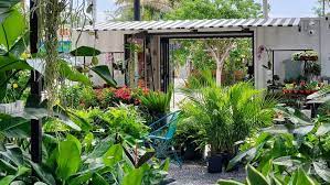 7 Best Places To Plants In Miami