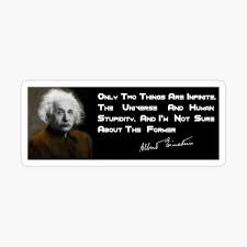 Logic will get you from a to b. Einstein S Quote On Human Stupidity Canvas Print By Britishyank Redbubble