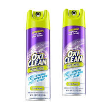 reviews for oxiclean 19 oz spray can