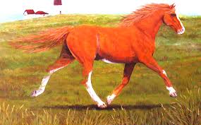 Image result for pacer horse