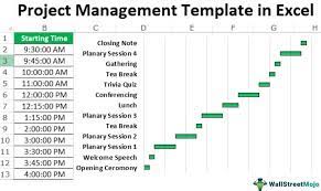 project management template in excel