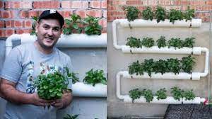 how to make inexpensive hydroponic