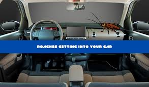 roaches getting into your car causes