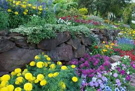 25 Beautiful Flower Bed Ideas Trees Com