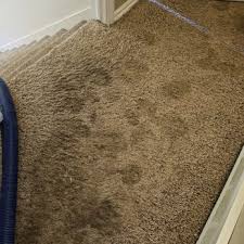 cliff s personal touch carpet cleaning