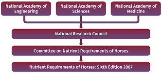 nutrient requirements of horses horse