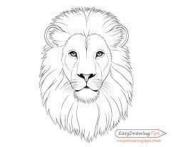 how to draw lion face head step by