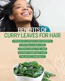 Does curry leaves thicken hair?