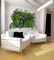 living walls and vertical gardens
