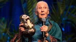 The influences that shaped Jane Goodall ...