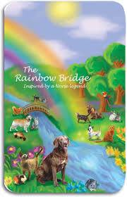 rainbow bridge sympathy cards