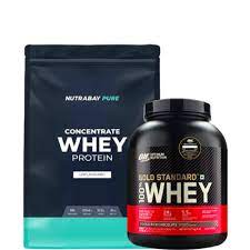 best whey protein in india 2024 whey