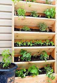 Vertical Gardening Services At Rs 800