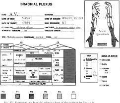 Figure 12 From The Surgical Treatment Of Brachial Plexus