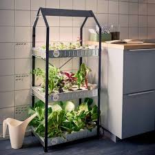 Indoor Garden Ideas To Grow Food Inside