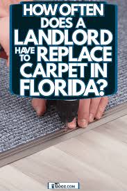 replace carpet in florida