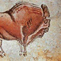 Image result for lascaux cave paintings