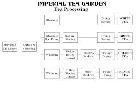 Tea Processing Flow Chart Food Diy Projects To Try Diy