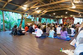 sivananda ashram yoga retreat review