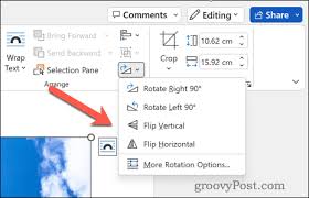 how to flip a picture in word