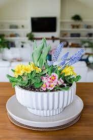How To Make An Indoor Spring Planter