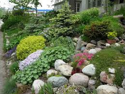 Rock Garden Design