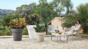 Which Xxl Flowerpot To Choose For Your