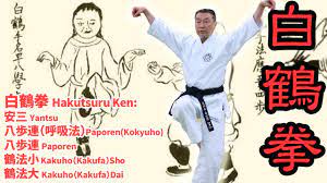 Hakutsuruken: Famous KATA from the movie KARATE KID! | BUDO JAPAN -  Original Japanese martial arts information and videos