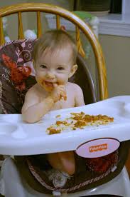 baby led weaning meal ideas 8 months old