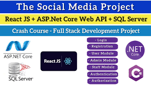 using asp net core web api react js