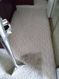 hillsboro absolute carpet cleaning
