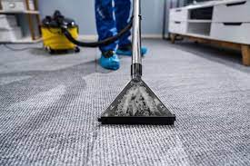 carpet cleaner bcc carpet and