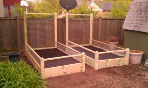 3x8x2 Raised Garden Bed With 6 Foot Trellis