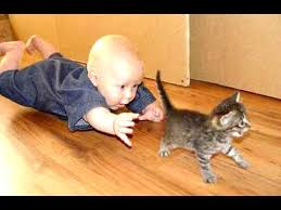 Image result for Picture of a kitten playing with a young child