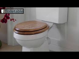 wood vs plastic toilet seats 2019