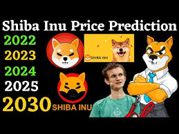 shiba inu coin prediction for