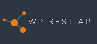 wordpress rest api to get custom post