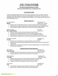 Professional Background Resume Examples Writing A Professional