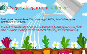 Vegetable Garden Challenge