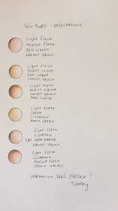 My Skin Tones Pallet With Faber Castell Polychromos Pencils