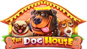 Pragmatic Play Launches The Dog House - iGaming Post | iGaming Post