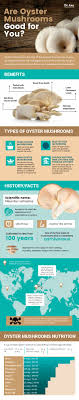 oyster mushrooms benefits nutrition