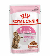 royal canin alimento para gato húmedo