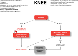 diagnostic management of knee pain